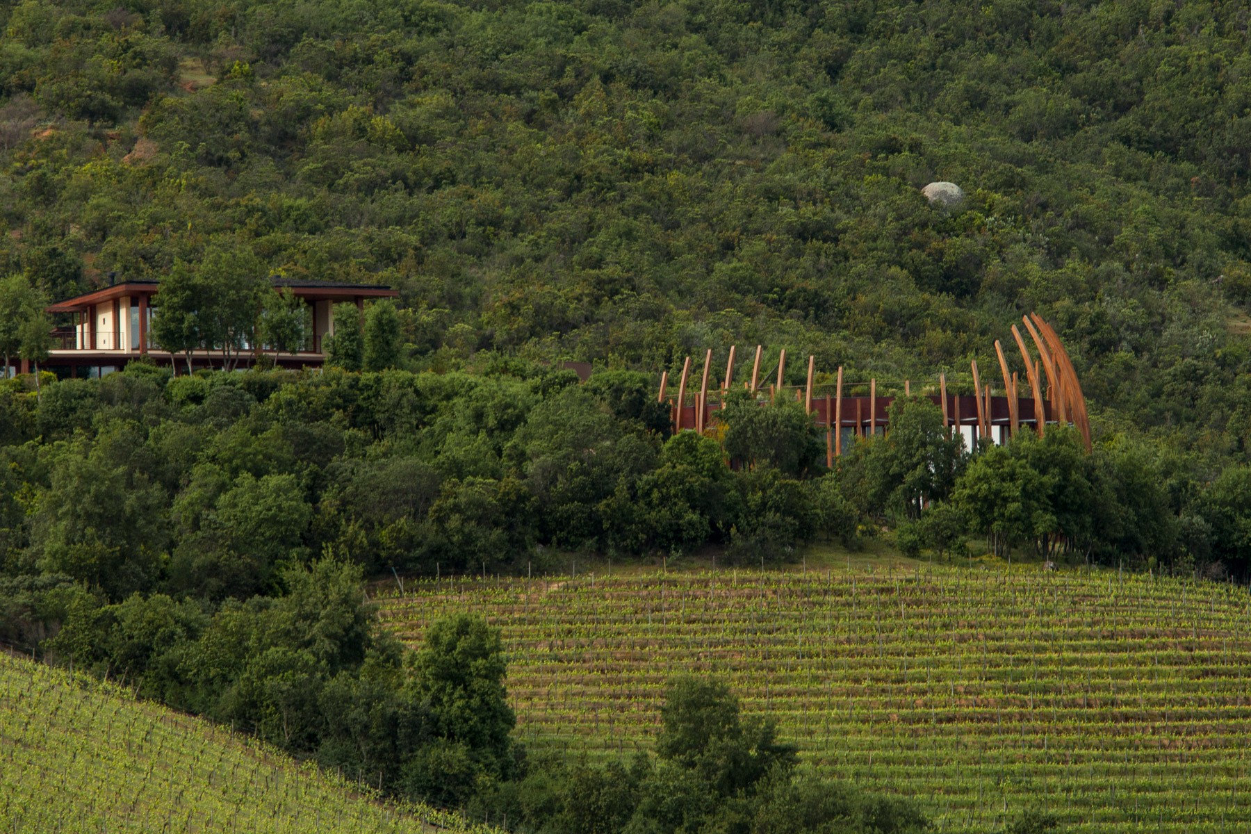 Lapostolle Winery Nest Exterior hillside